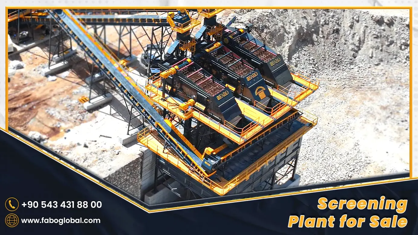 Screen Plant for Sale